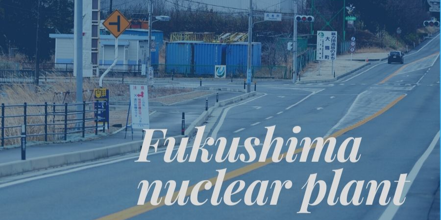 Nuclear watchdog backs release of contaminated Fukushima water