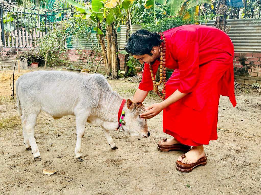 Dhirendra Krishna Shastri with cow