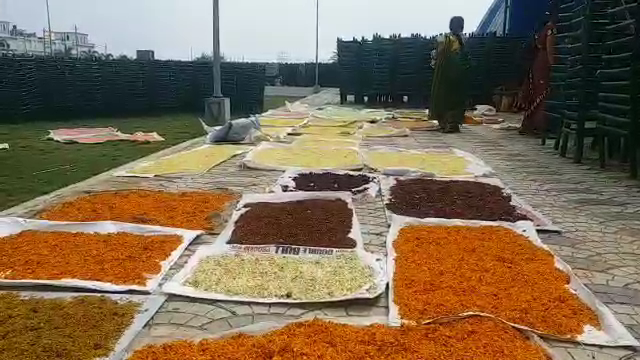 herbal gulal made from flowers in raipur