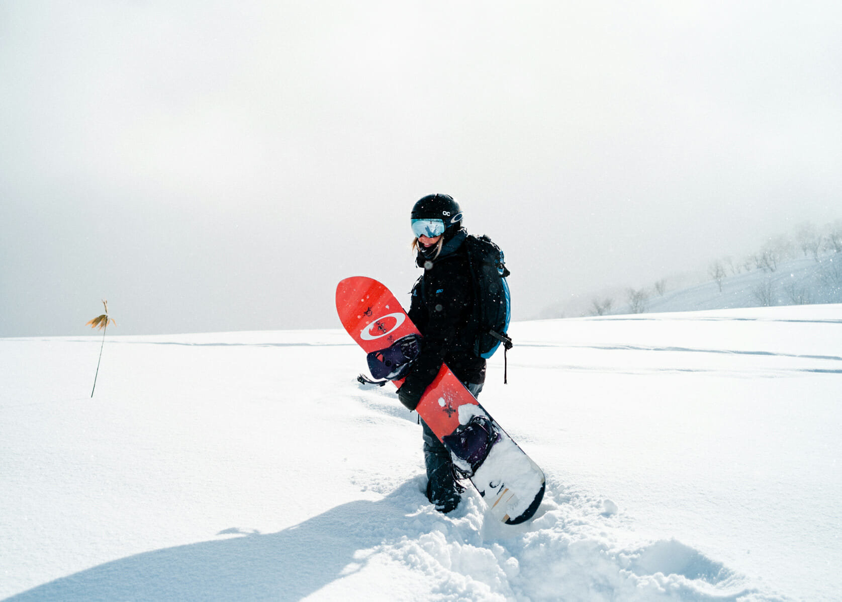 SNOW BORADING