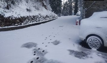 Several roads including NH-5 blocked after fresh snowfall in Himachal