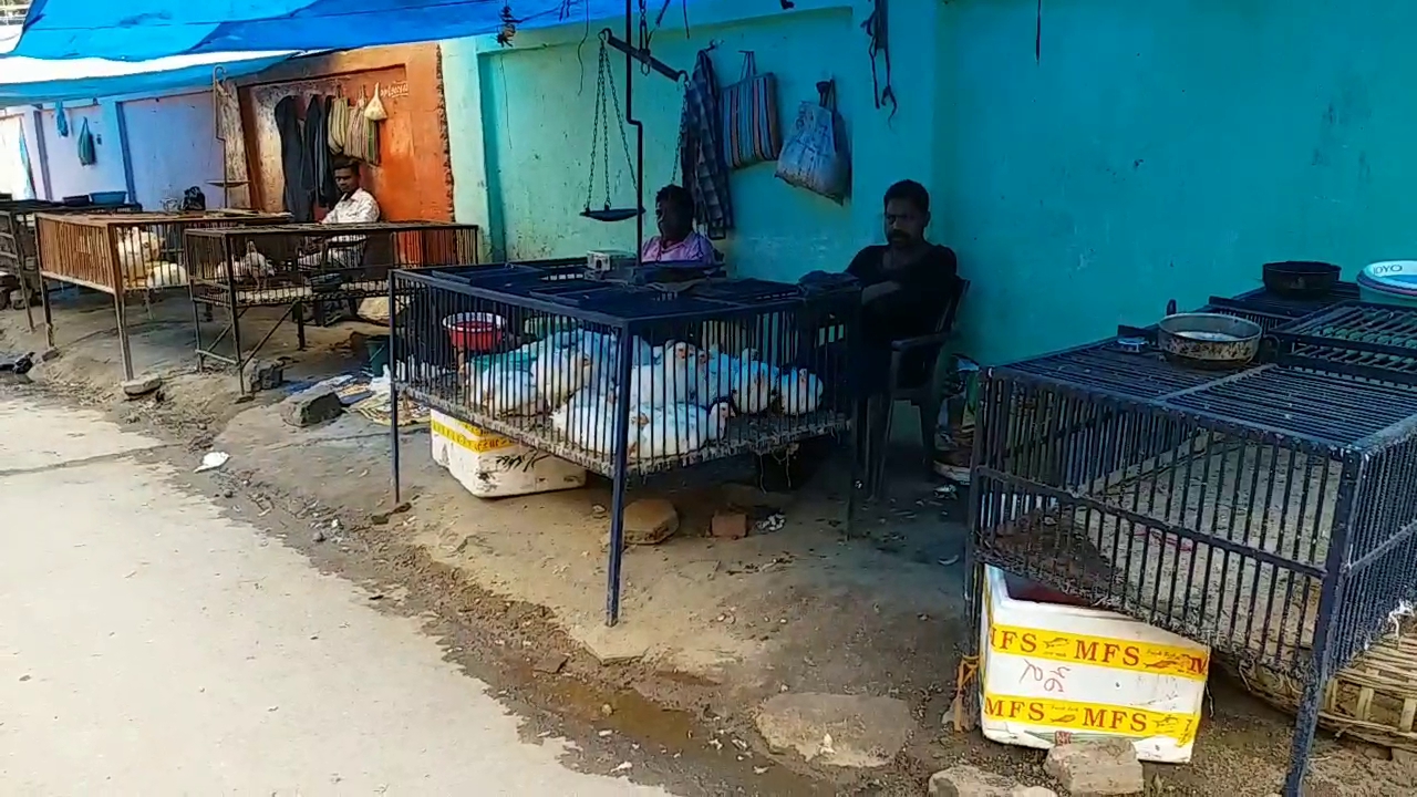 Poultry farmers have left the work of poultry for the Corona virus in Gumla