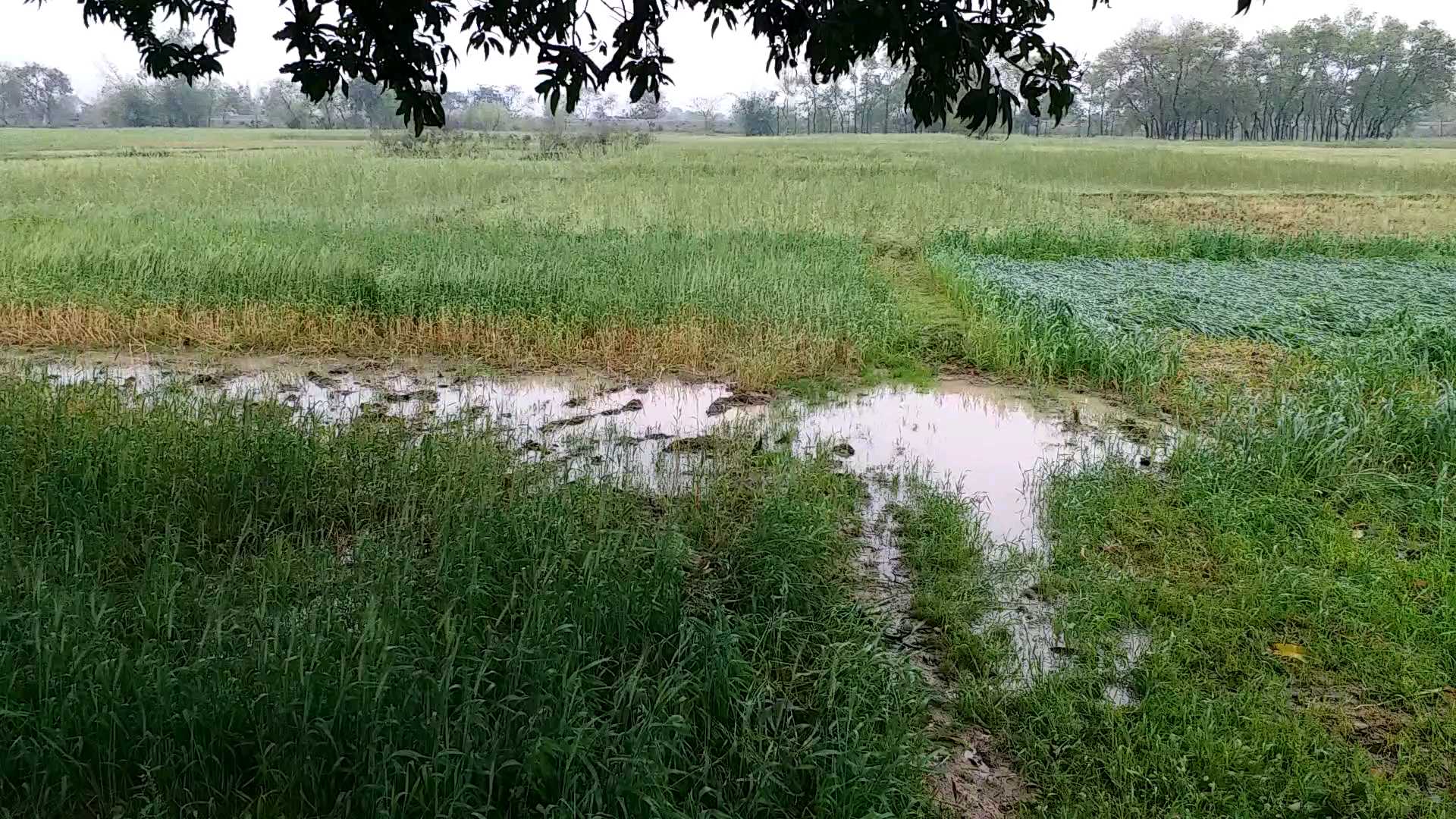 aurangabad