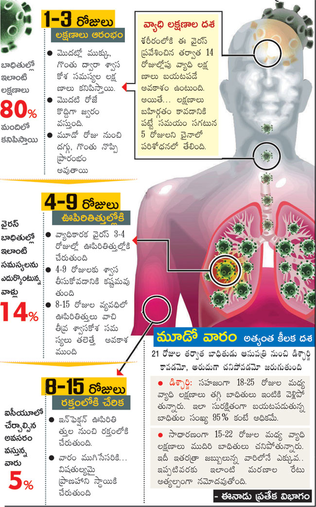 ఊపిరితిత్తులు, రక్తంలోకి కరోనా ఇలా వ్యాపిస్తుంది