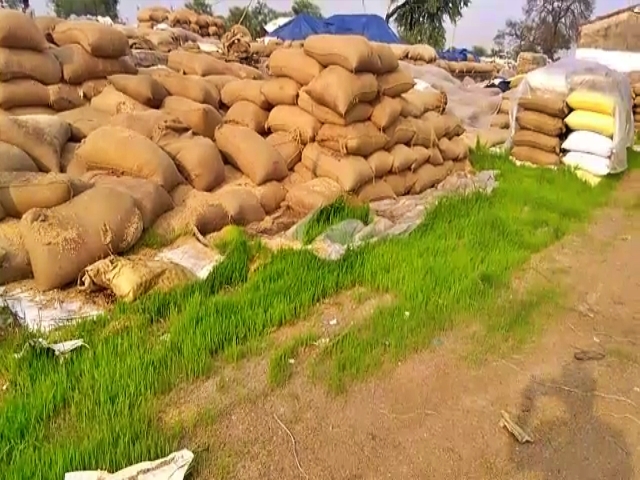 56-farmers-paddy-not-purchased-in-kawardha