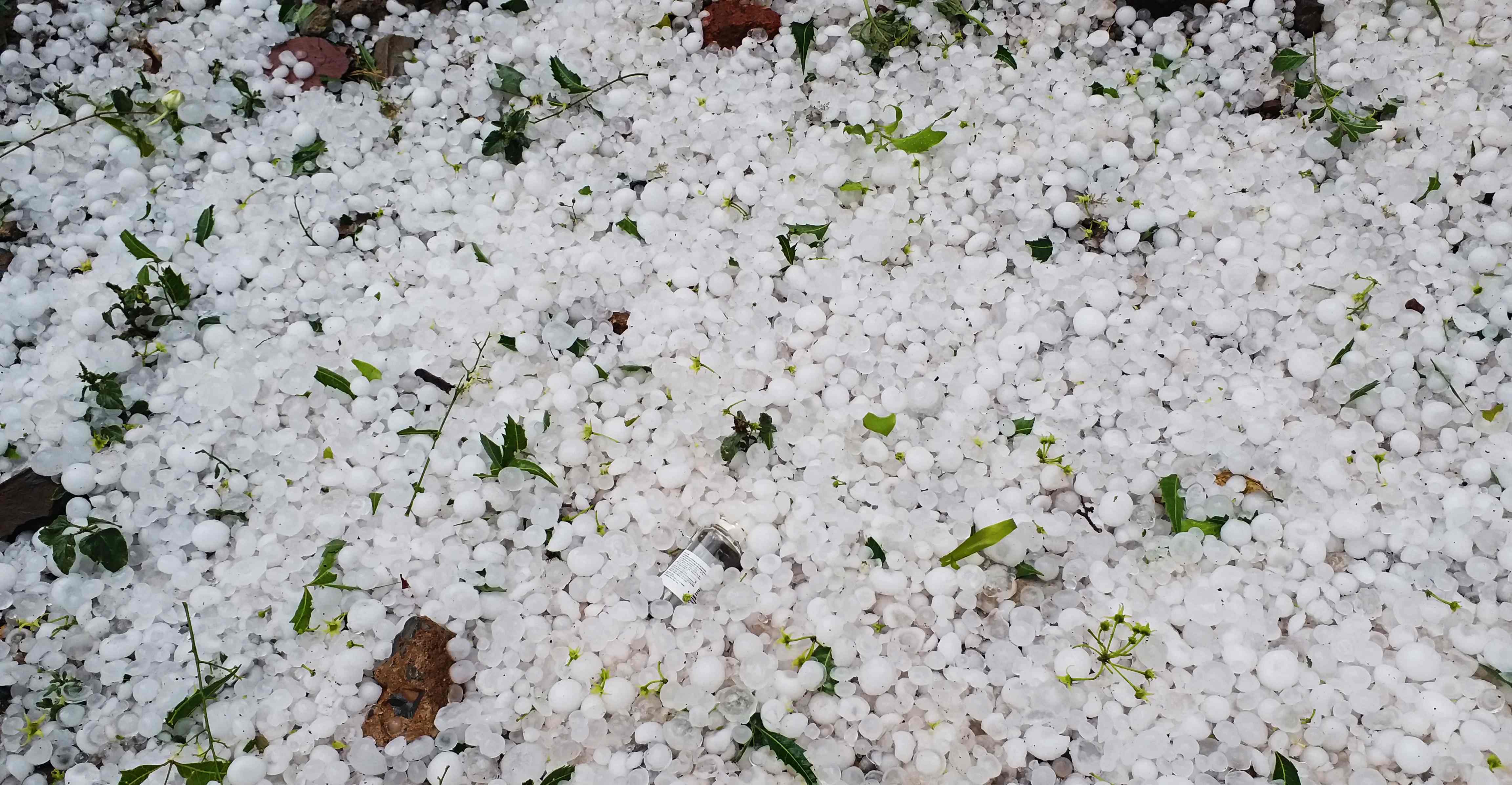 Hail rains in Jagalpur on Thursday