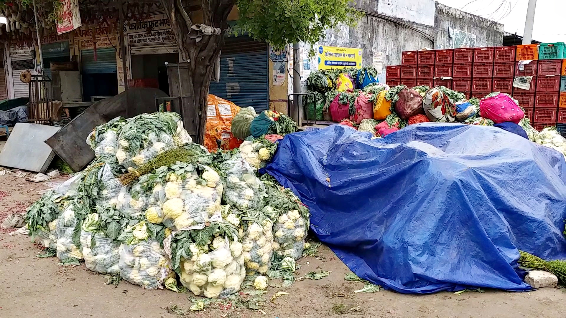 कोटा लॉक डाउन,  kota lock down