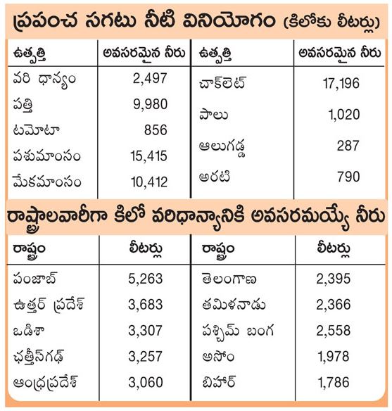 సాగునీరు వృథా