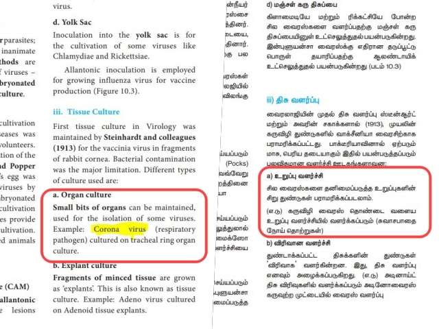 ஆங்கிலத்தில் கரோனா வைரஸ் என்று இருப்பதை, தமிழில் கருவிழி வைரஸ் (கார்னியா வைரஸ்) என்று தவறாக மொழிபெயர்த்துள்ளதின் புகைப்படம்