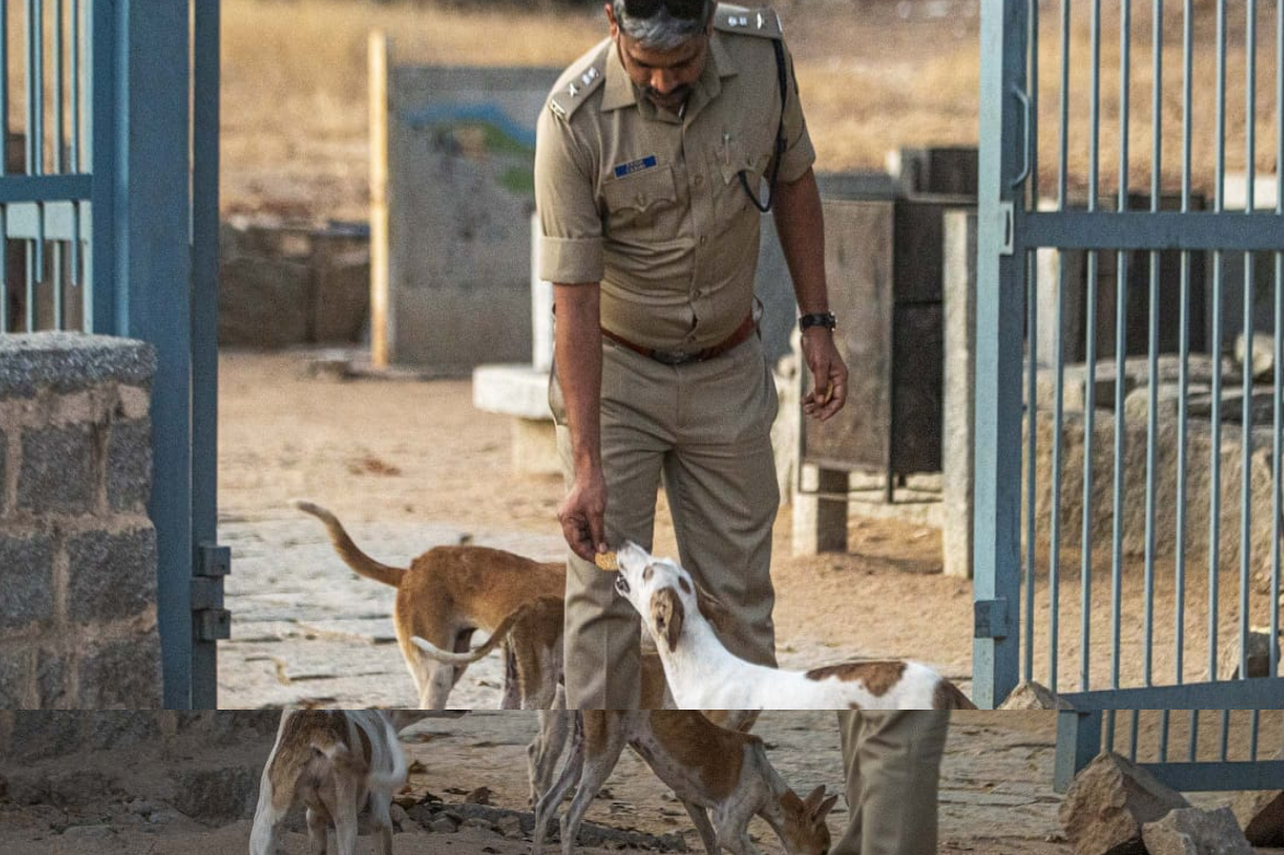 Sp baba gave biscuit to street dogs in Hampi