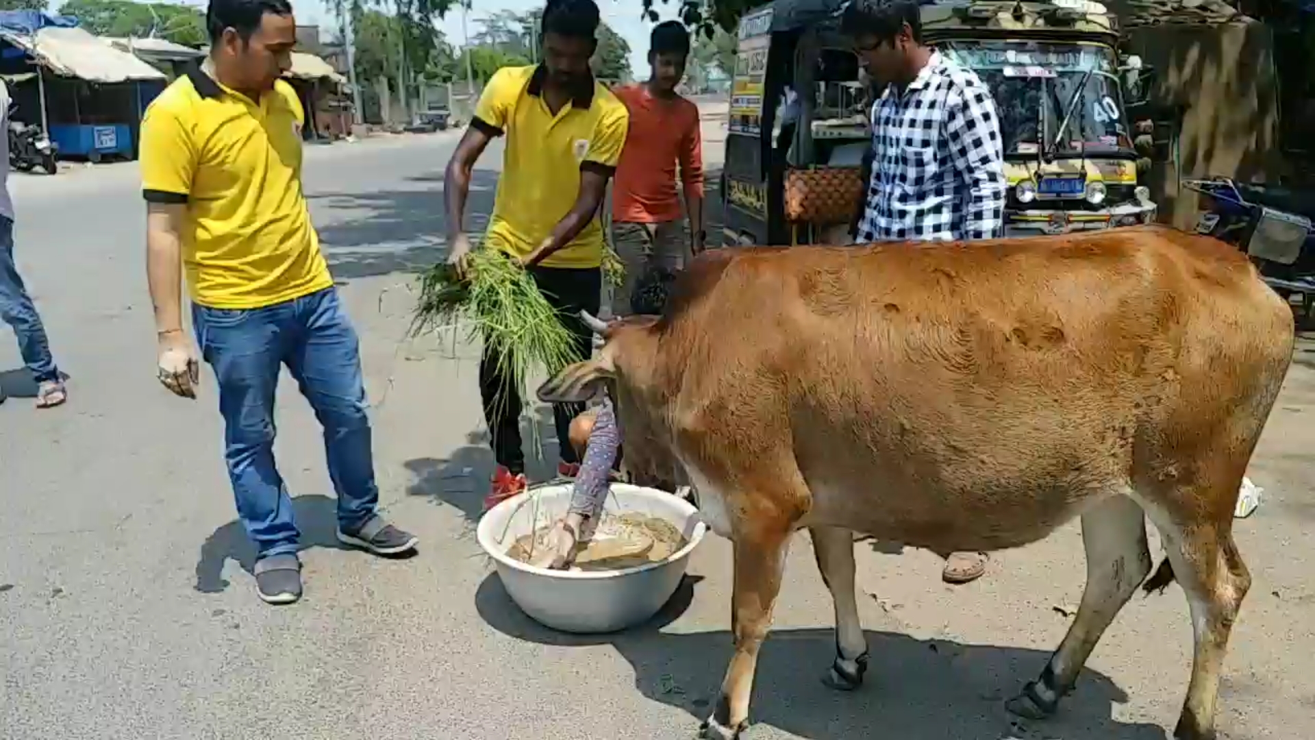 sambalpur-two-friends-are-food-supply-street-animals-at-their-own-expense