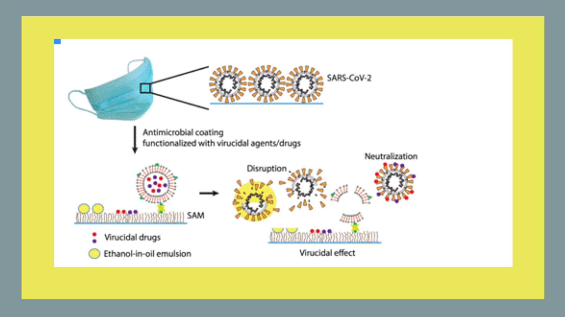 IIT Kanpur researchers to design a cost-effective virucidal coating of surgical masks for preventive measures against COVID-19.Courtesy, SERB, Dept. of Science & Technology