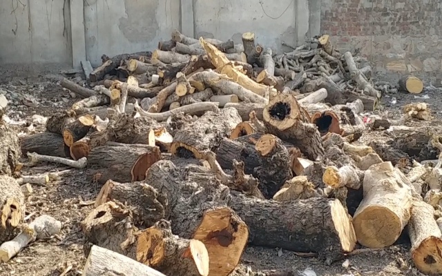 शमशान घाटों पर लकड़ियों की कमी, Lack of wood at the cremation grounds