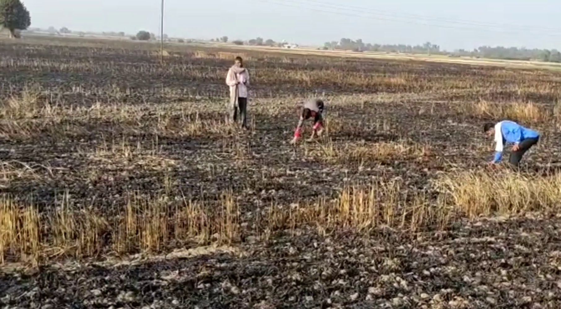 crop burning, ठीकरिया चारणान में आग