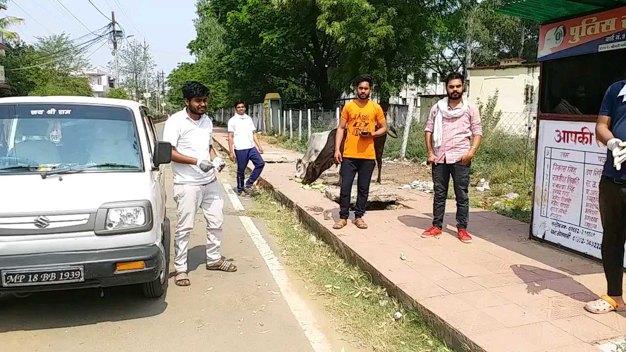 Shahdol youth becomes distress for unruly animals