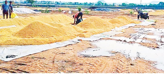 rain in telangana