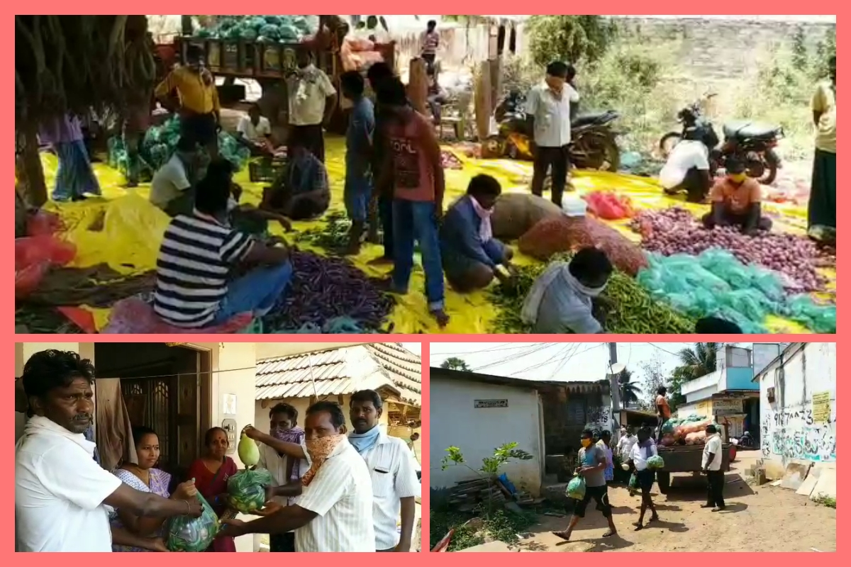 vegetables distribution