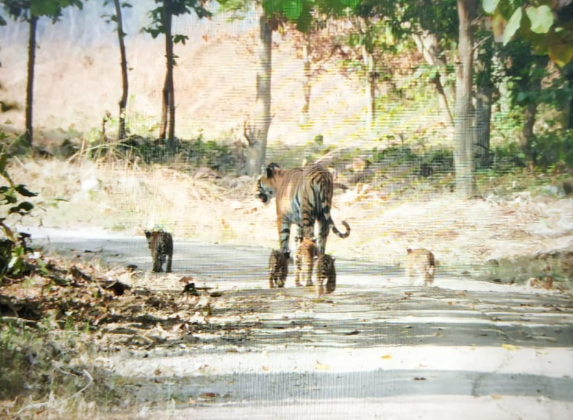 fire cut in kishanpur century