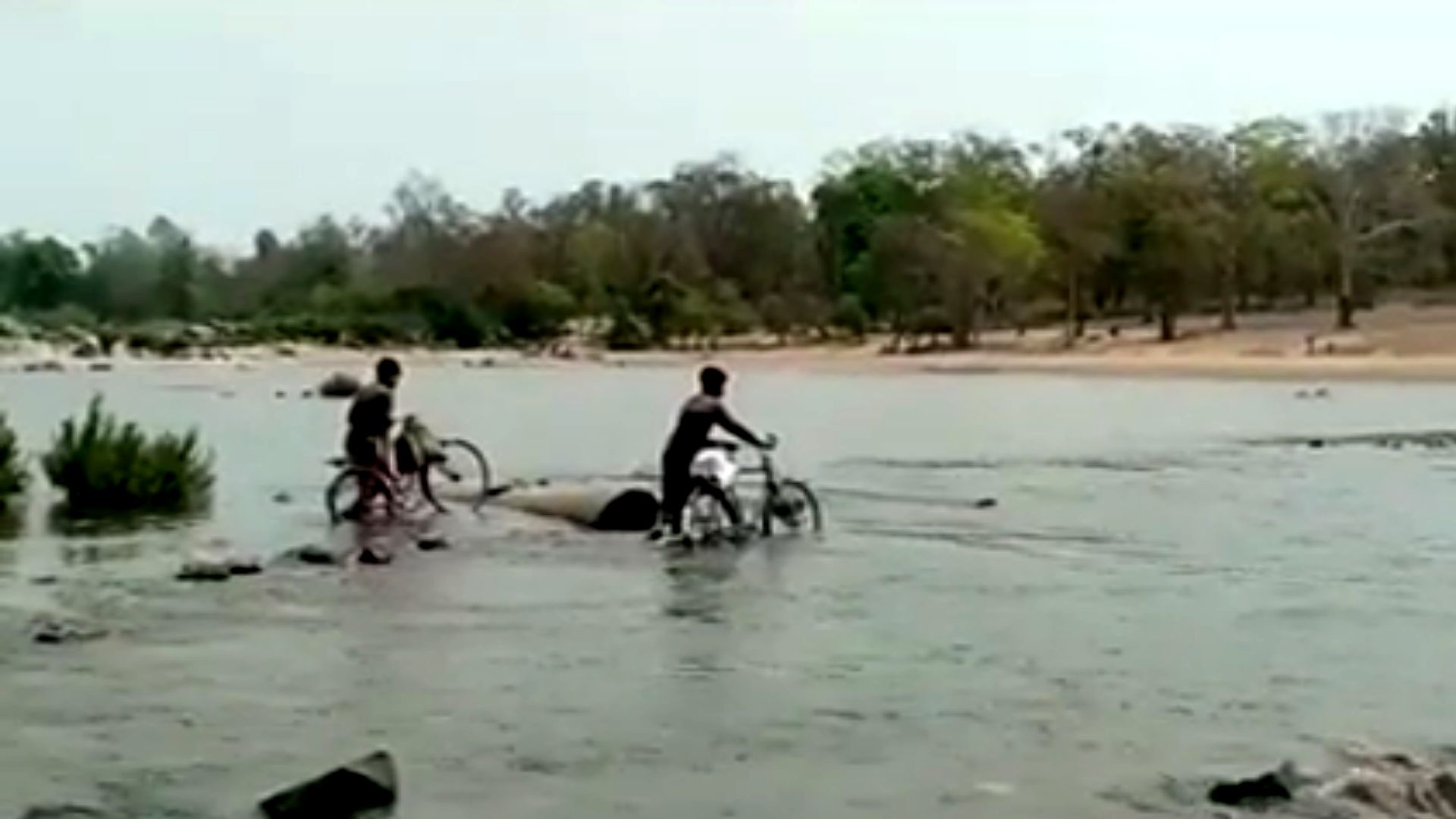 villagers of kanker are helpless and crosses river for buying groceries and ration