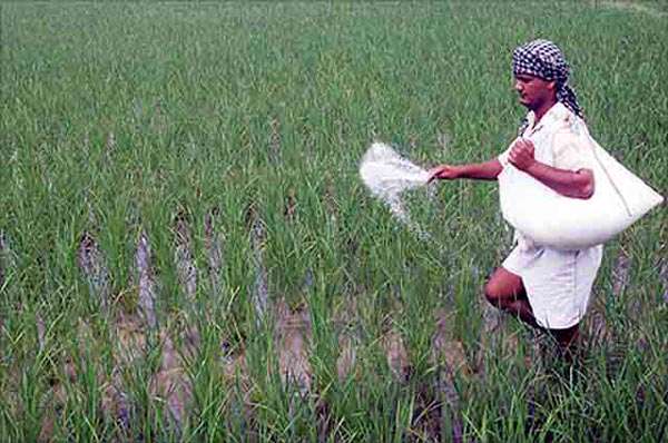 ETV Bharat Special Corona and Lockdown Impact on Agricultural Sector in Maharashtra