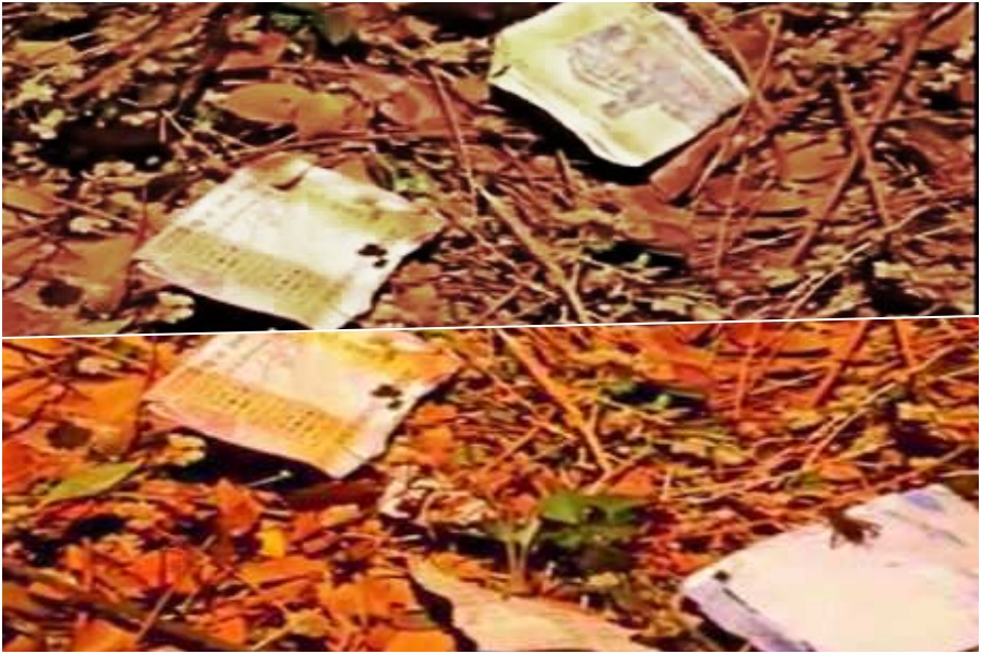 half-km-on-the-field-notes-found-in-the-farm-in-malegaon