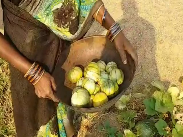 farmers unable to sell fruits