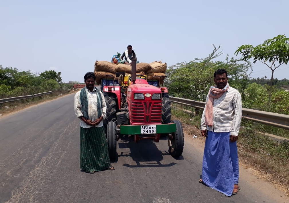 turmeric farmers