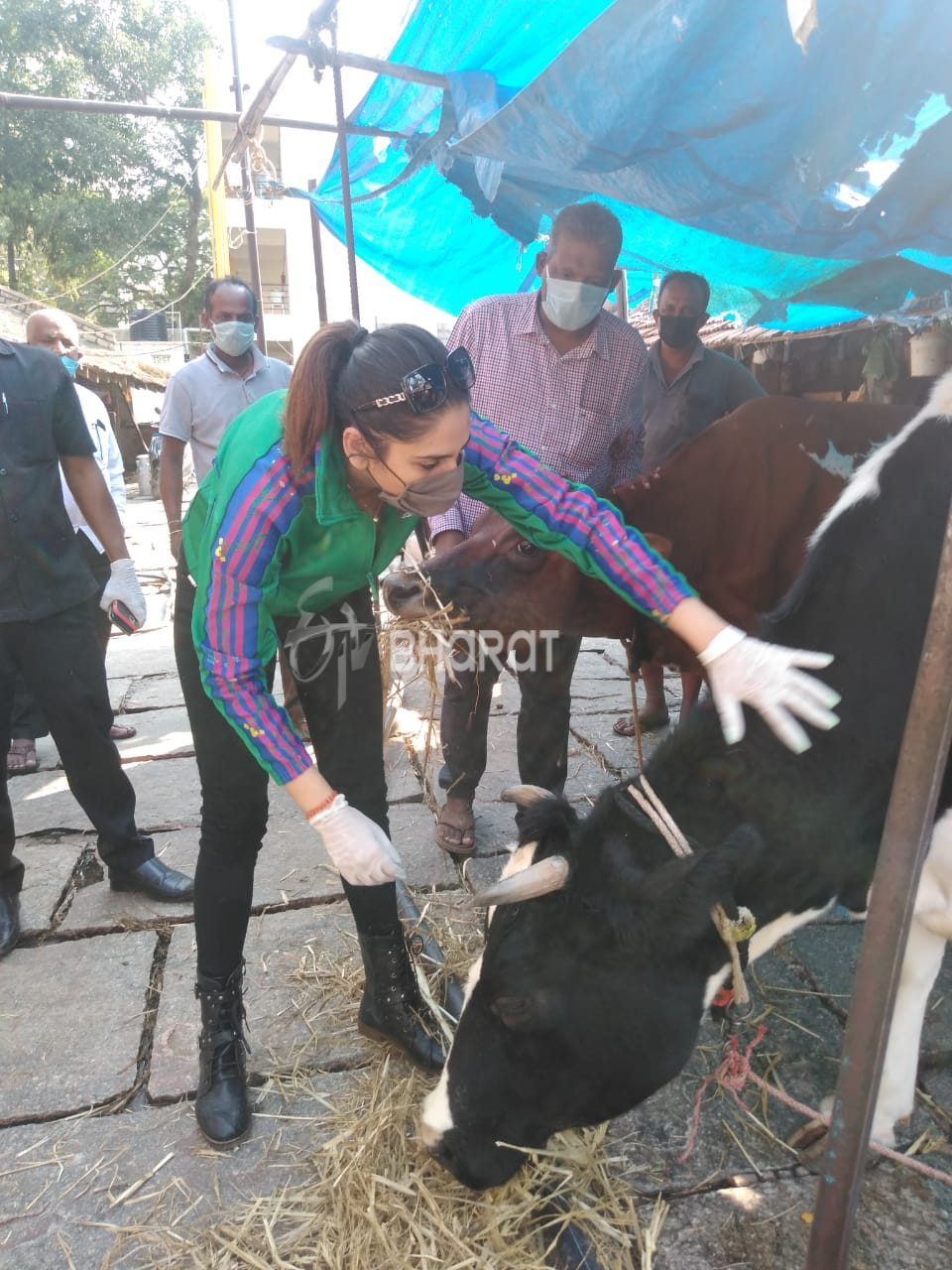 Actress Ragini dwivedi