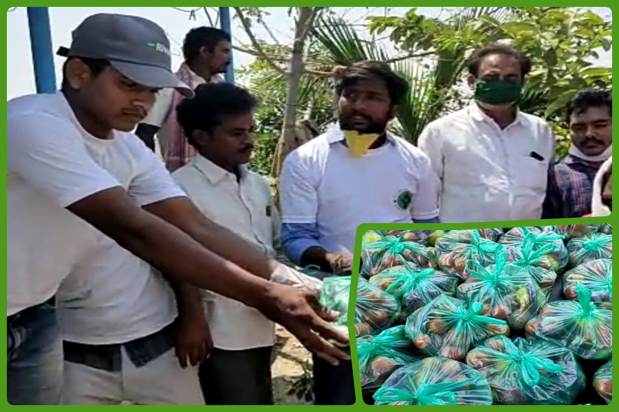 vegetables distribution