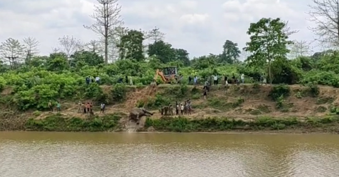 One Wild Elephant Died in Short Circuit At karbianglong