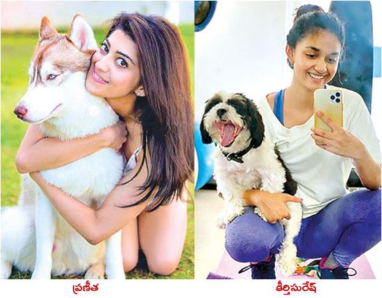 celebrities loving their puppies