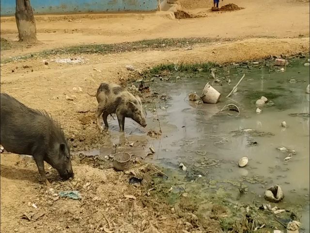 Water drainage problem in Datima