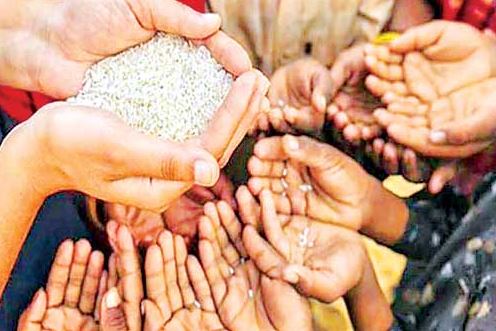 Will be faced food shortage problems in future: FAO