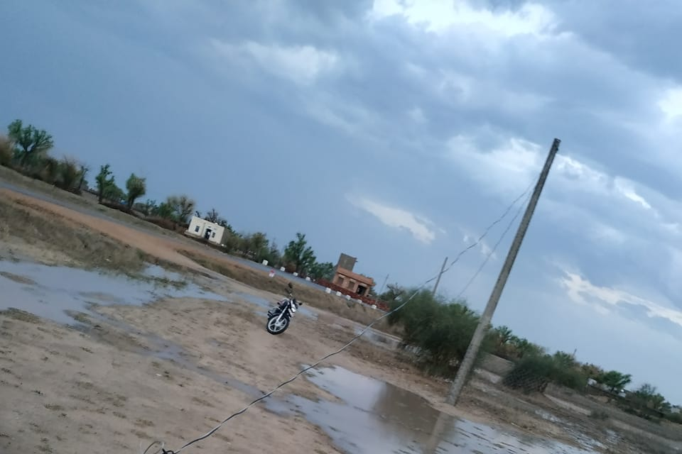 नागौर में पेड़ और खंभे उखड़े, Uprooted trees and poles in Nagaur