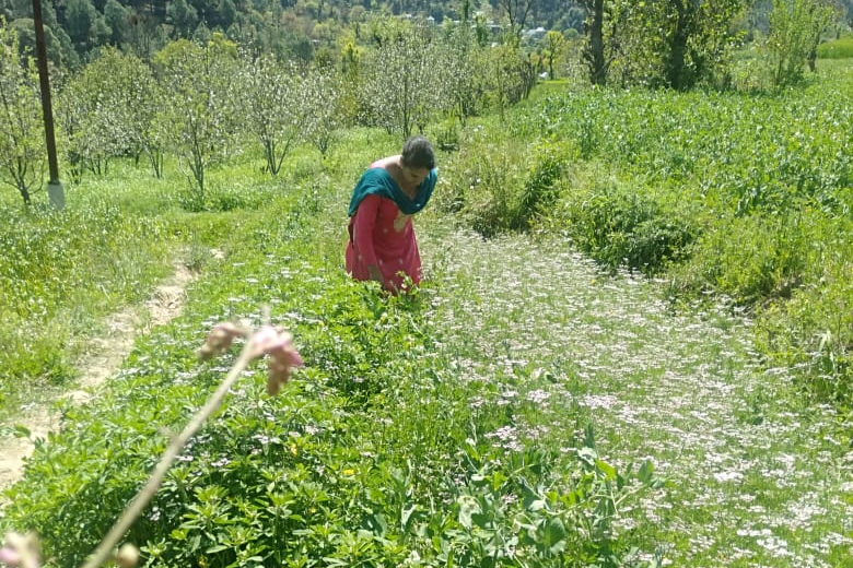 natural farming in karsog