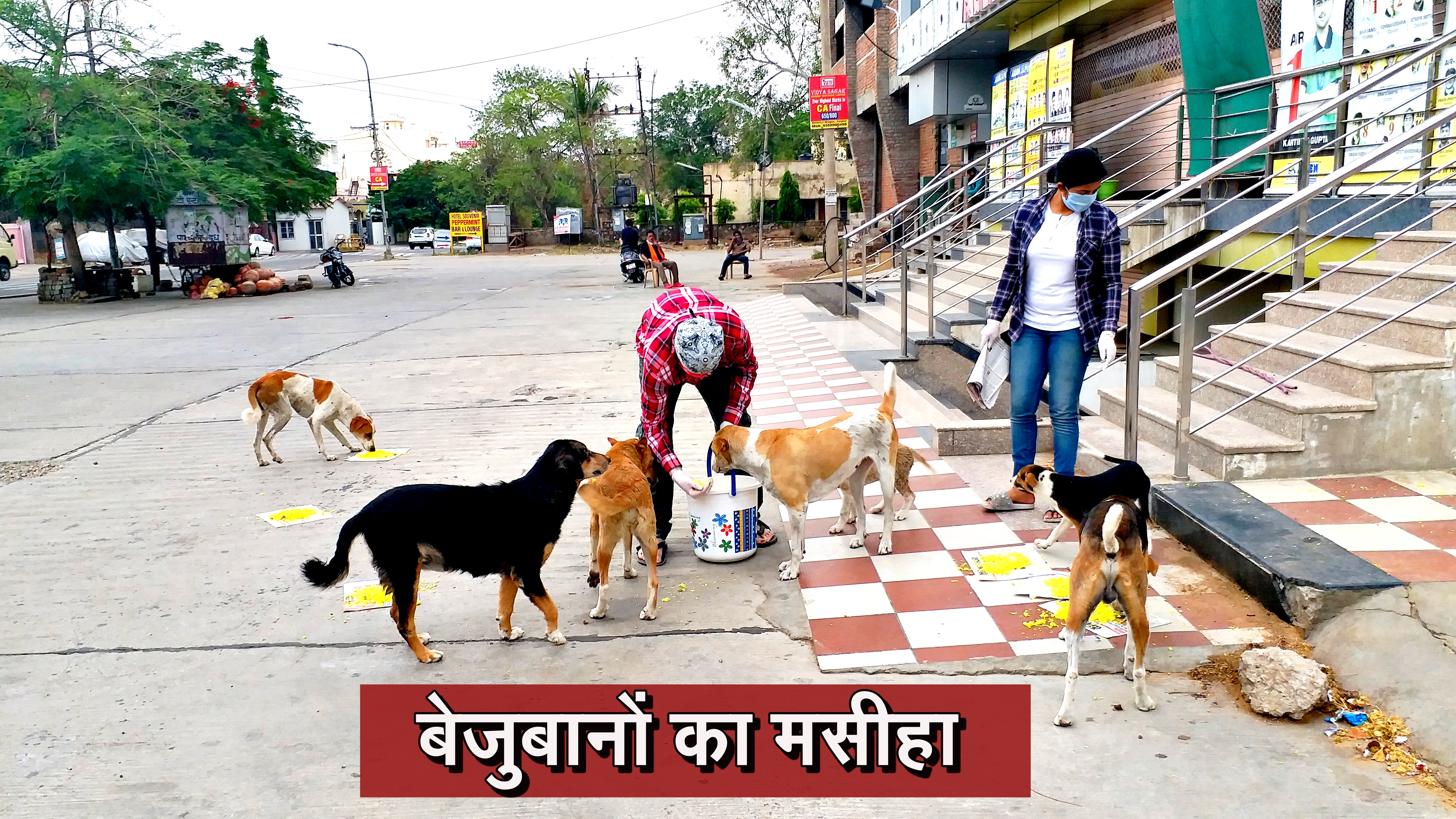 बेजुबान जानवरों को खिला रहे खाना,  Feeding animals