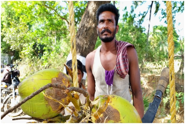 திருவாரூர் இளநீர் வியாபாரி