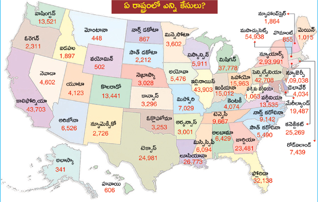 corona case in usa state wise