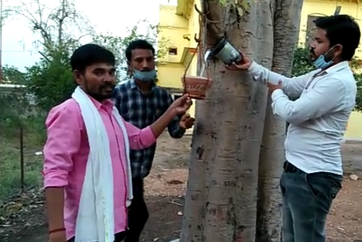 Earthen pots tied at major places in the city for bird water in chhatarpur