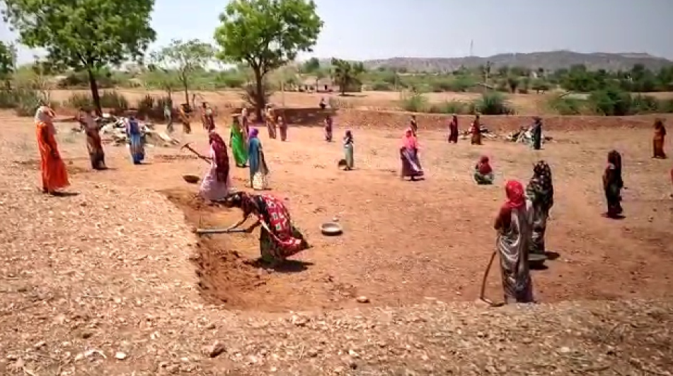 MNREGA, डूंगरपुर न्यूज