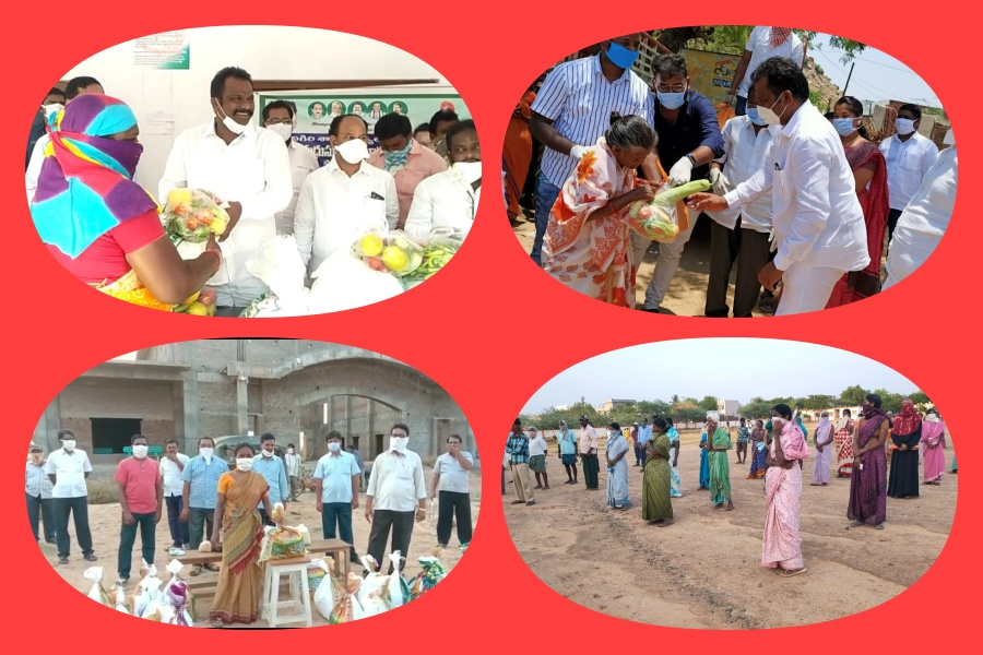 vegetables distribution