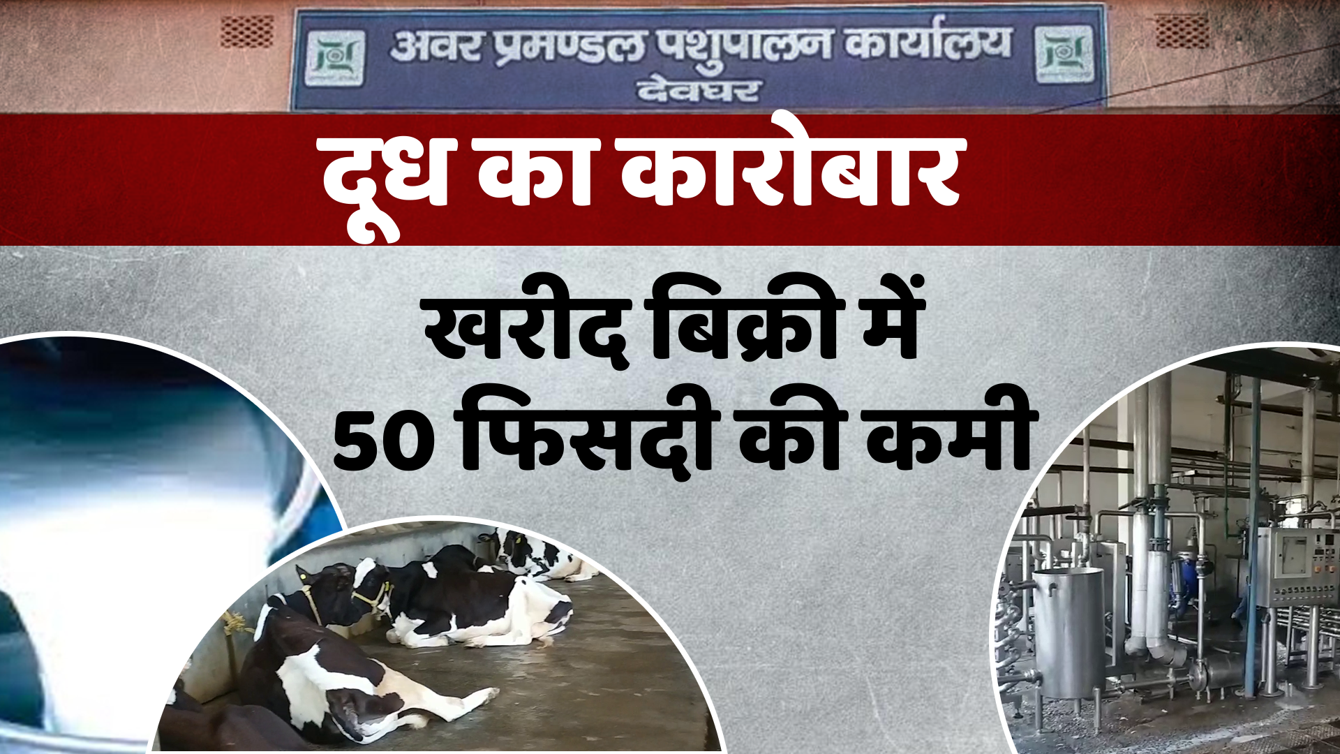 Milk business reduced lockdown in deoghar