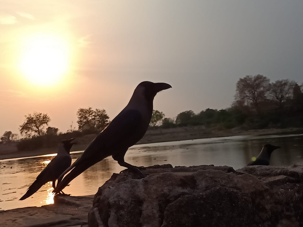 evening view of khajuraho