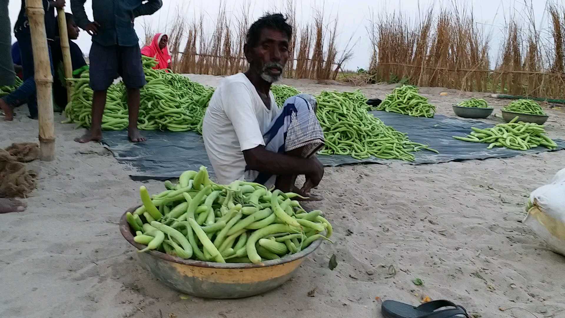 خربوزا اور تربوز کے کاشتکاروں کا حکومت سے امداد کا مطالبہ