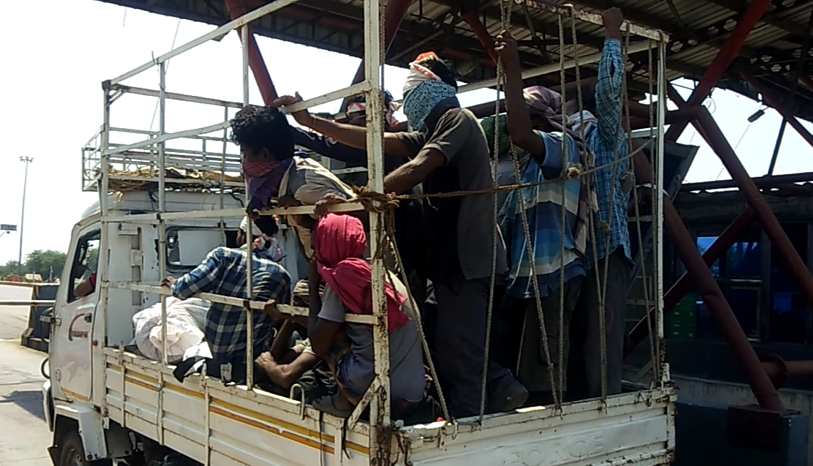 labourers reached raipur