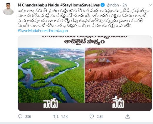 tdp leaders fire on ys jagan over kakinada mangroves