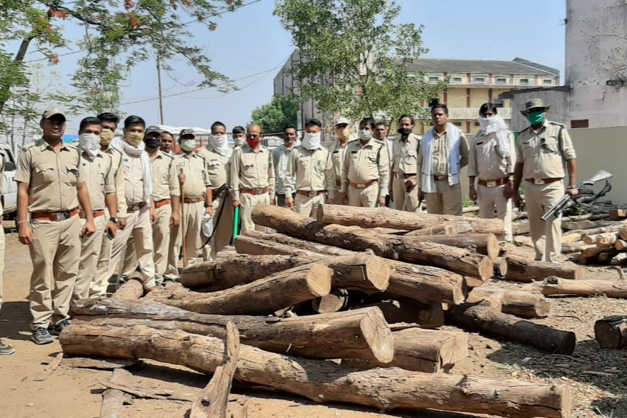 Action of the forest department on wood mafia