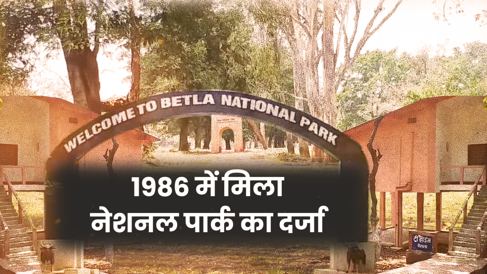 Betla National Park