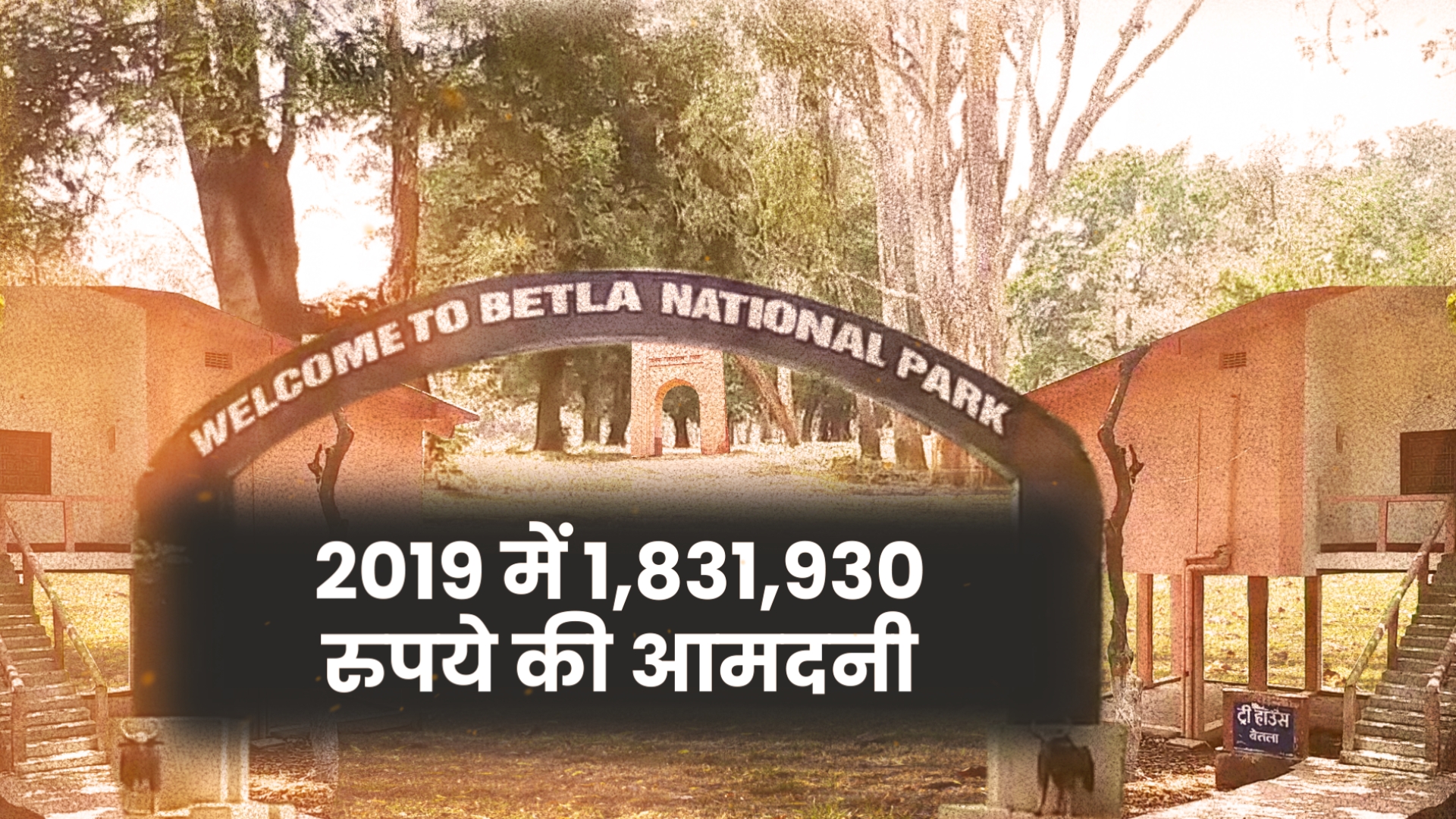 Betla National Park