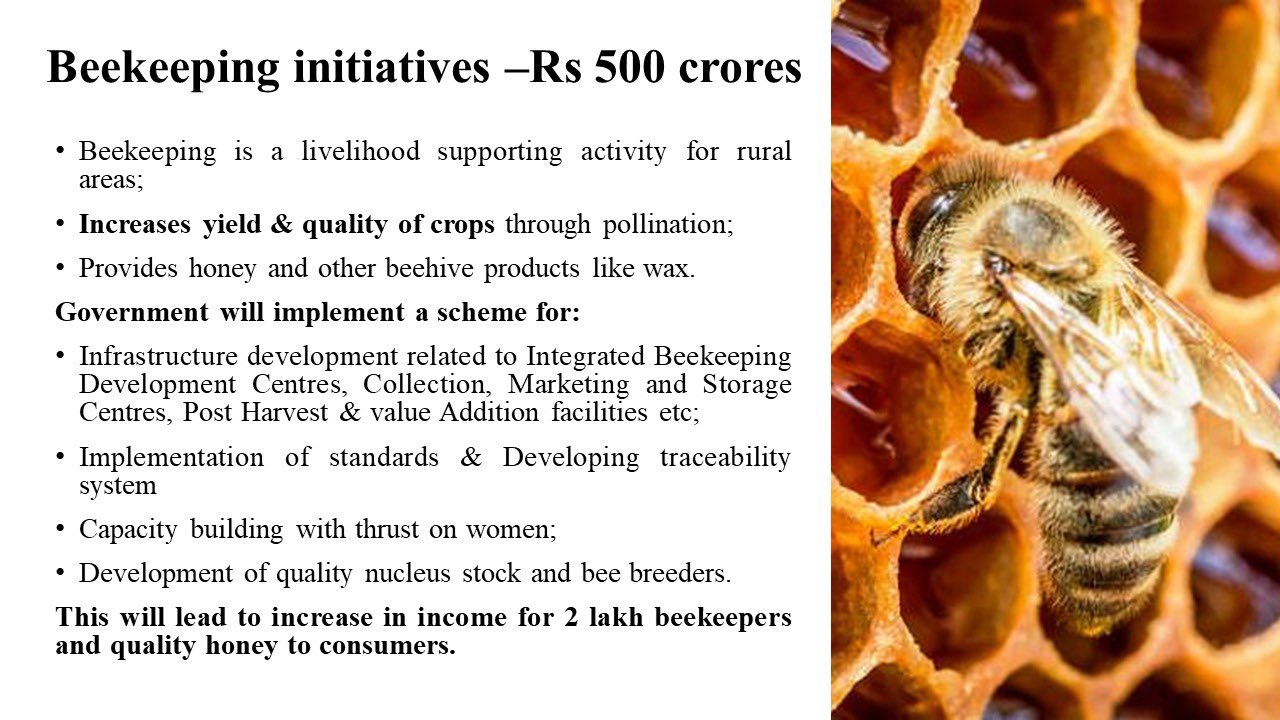 500 cr for beekeping which will benefit two lakh beekeepers.